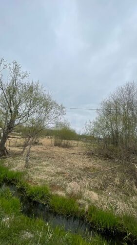 Фото из объявления