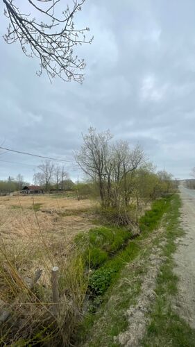 Фото из объявления