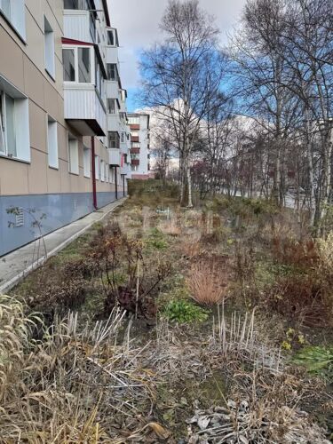 Фото из объявления