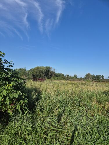 Фото из объявления