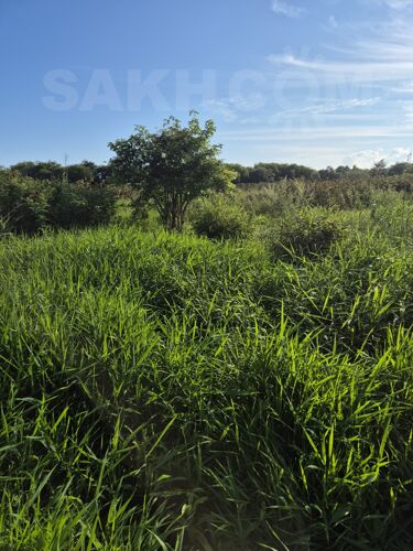 Фото из объявления