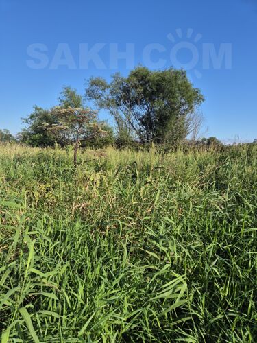 Фото из объявления