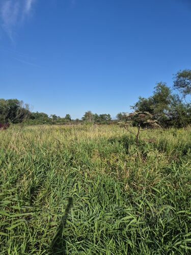 Фото из объявления