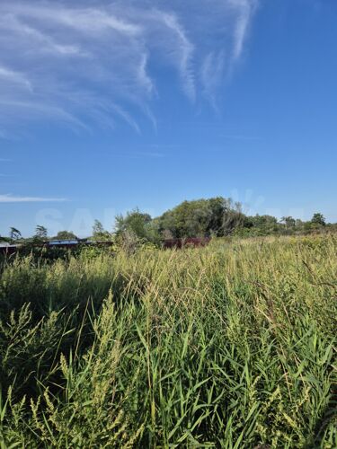 Фото из объявления