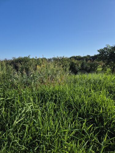 Фото из объявления