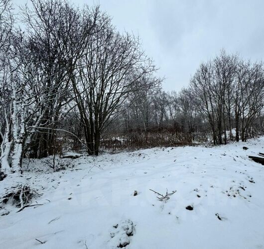 Фото из объявления