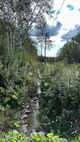 Фото из объявления