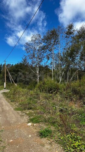 Фото из объявления