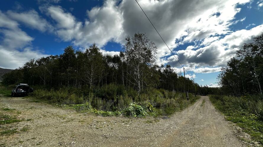 Фото из объявления