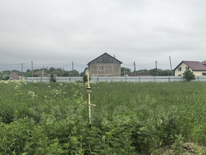 Фото из объявления