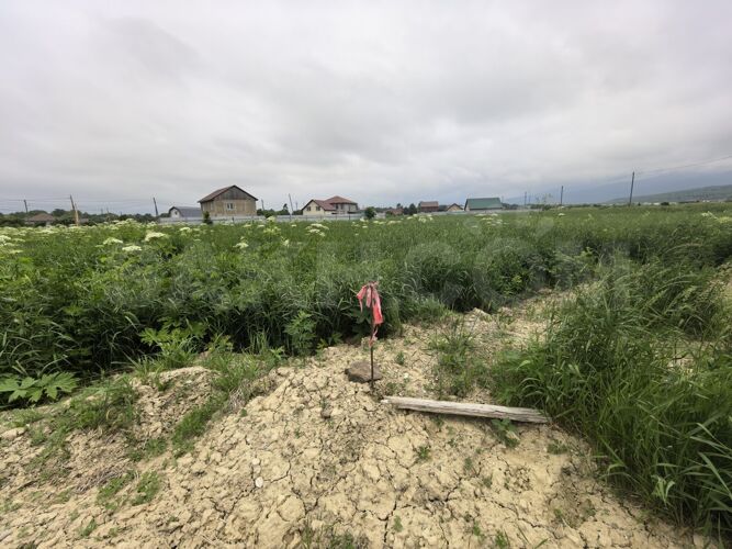 Фото из объявления