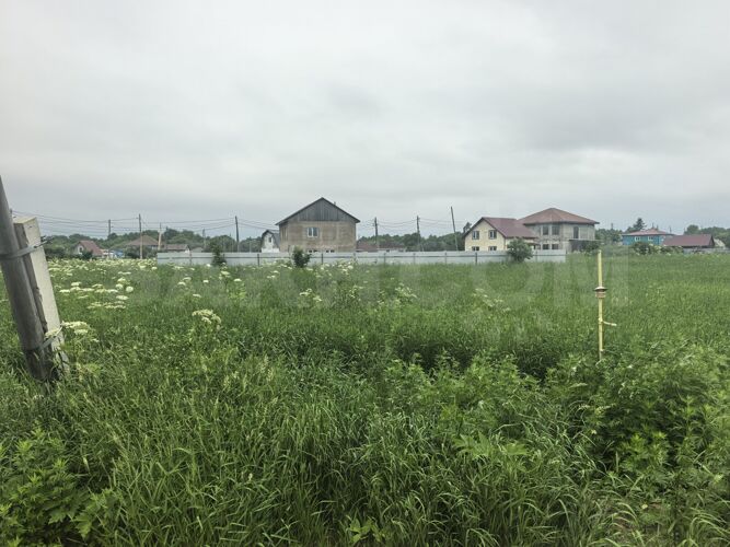 Фото из объявления