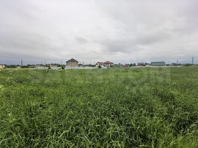 Фото из объявления