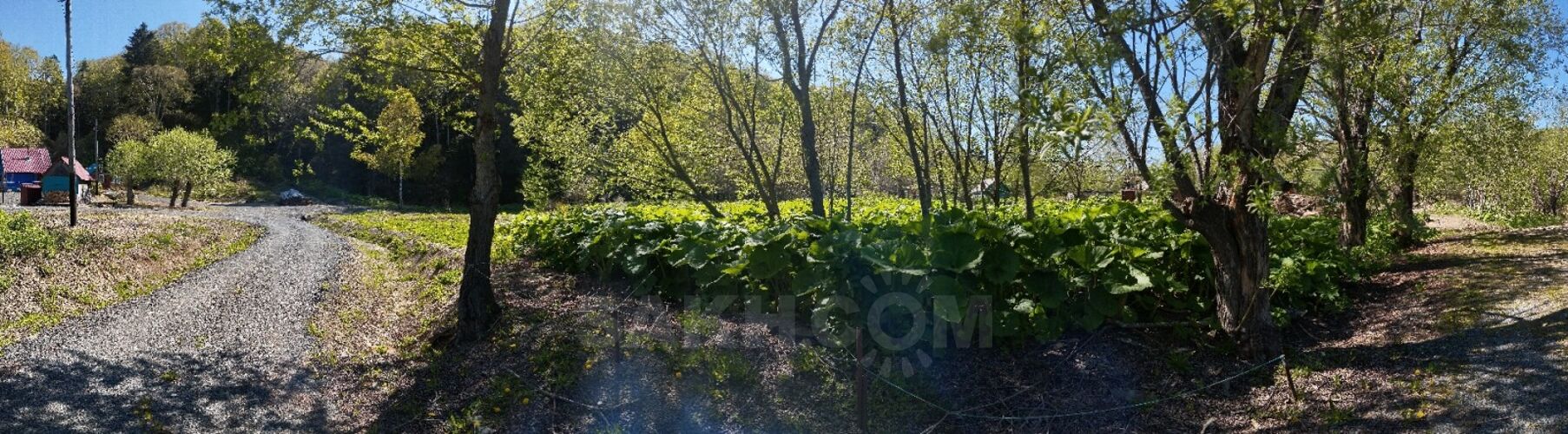 Фото из объявления