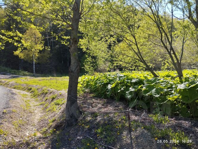 Фото из объявления