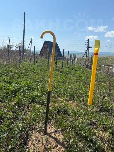 Фото из объявления