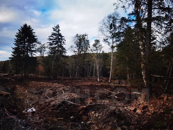 Фото из объявления