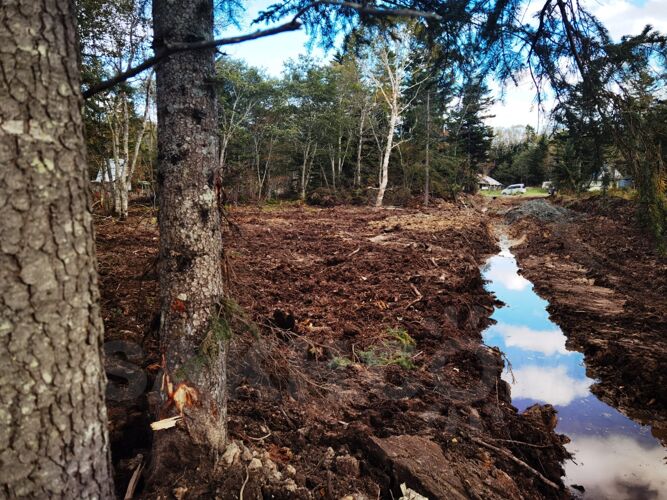 Фото из объявления