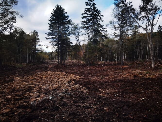 Фото из объявления