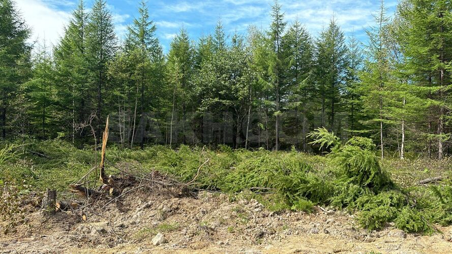 Фото из объявления