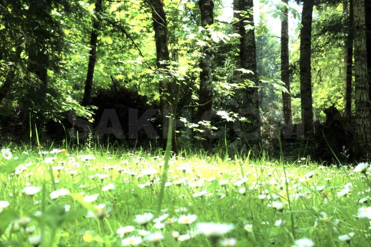 Фото из объявления