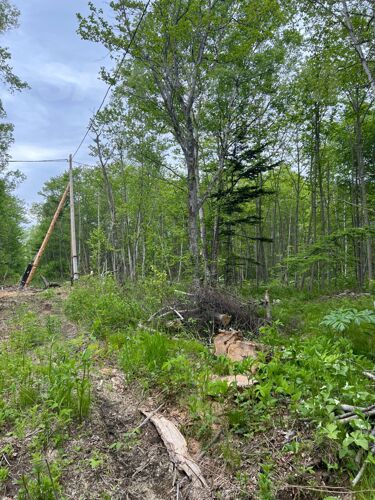 Фото из объявления