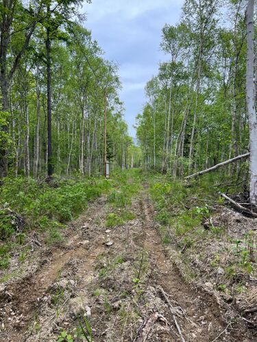 Фото из объявления