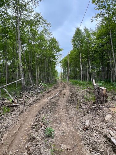 Фото из объявления