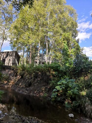 Фото из объявления