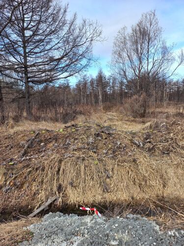 Фото из объявления