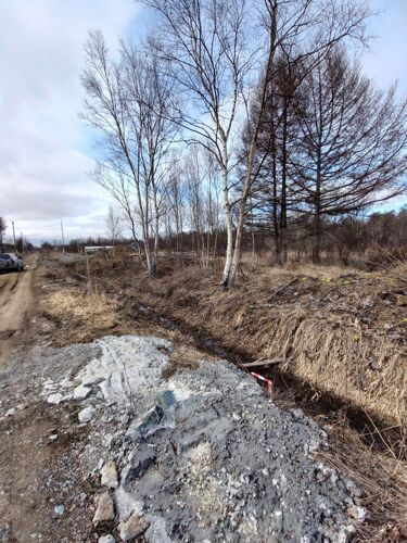 Фото из объявления