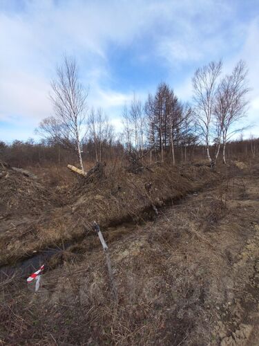 Фото из объявления