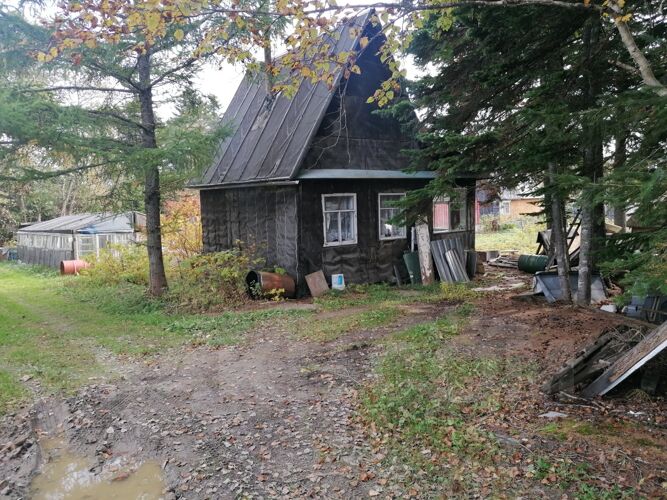 Фото из объявления