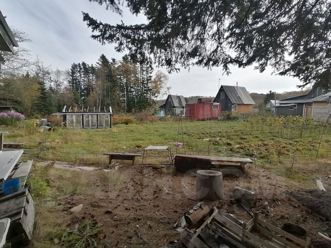 Фото из объявления