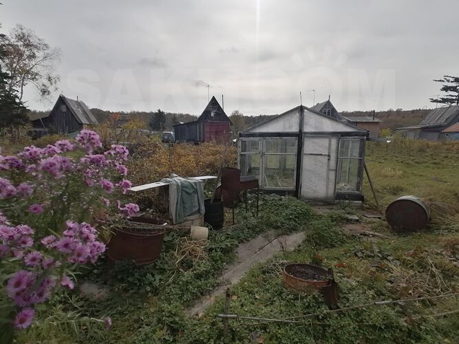 Фото из объявления