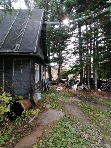 Фото из объявления