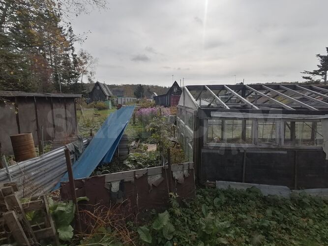 Фото из объявления