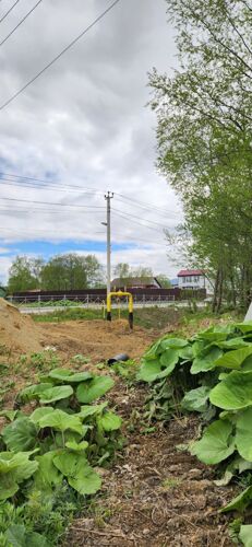 Фото из объявления