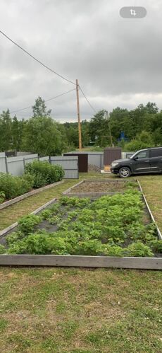 Фото из объявления