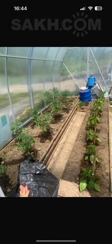 Фото из объявления