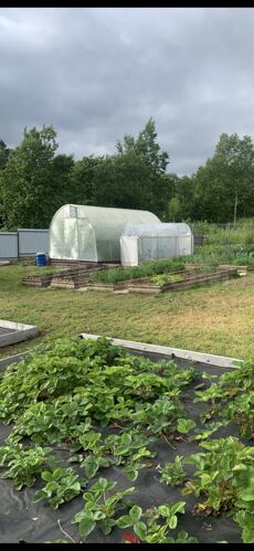 Фото из объявления