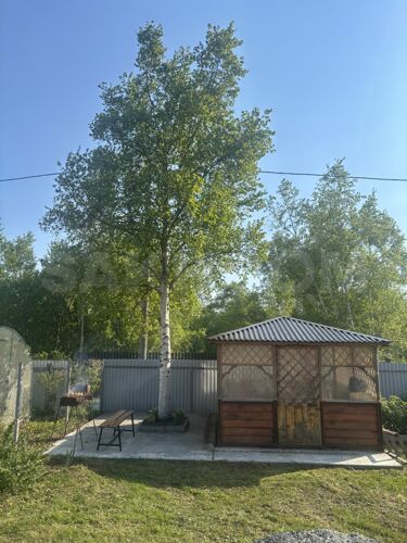 Фото из объявления