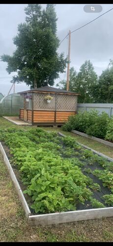 Фото из объявления