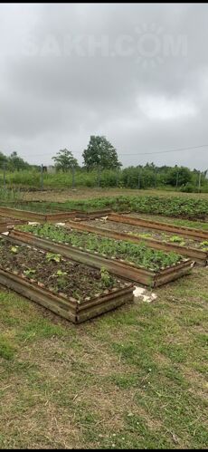 Фото из объявления