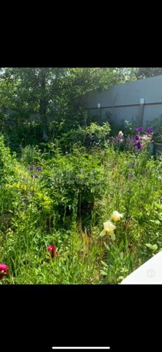 Фото из объявления