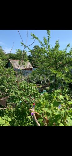 Фото из объявления