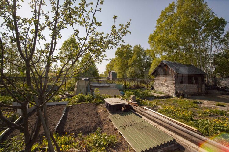 Фото из объявления