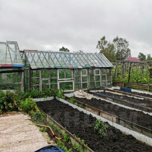 Фото из объявления