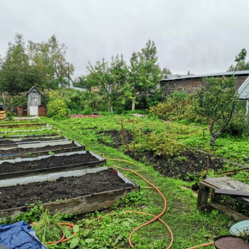 Фото из объявления