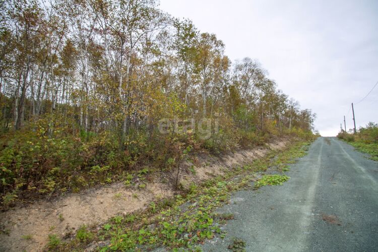 Фото из объявления